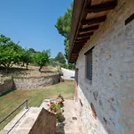 Farm stay Margherita - Fogliani